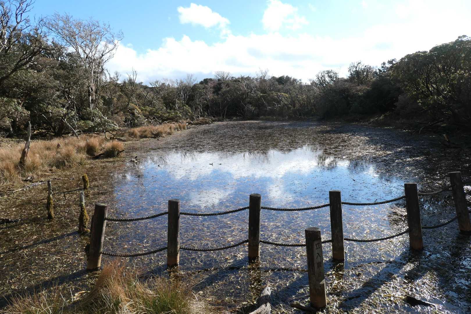 猫越岳山頂の池。