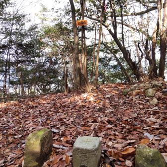 音羽山を越えて牛尾観音をお詣りして、高塚山484.9mへ。その後、横嶺峠へ向かいます。