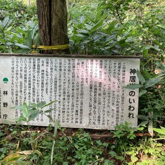 ふむ
この先に大きい🐍がいてビックリ