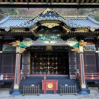 無事戻ってきました🙏