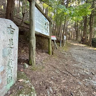 今日はのんびり歩きます