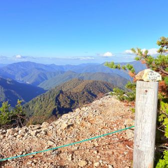 展望台から