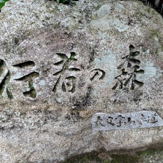ゆっくり行きます