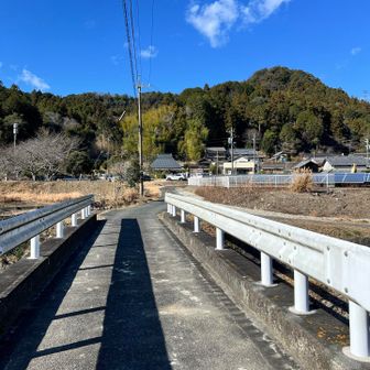 戻って来ました