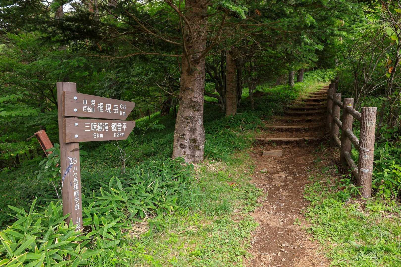ゴール😃
体調を壊し目的山には登れなかったけど
今回も最高の山旅になりました
ありがとうございます(*´꒳`*)