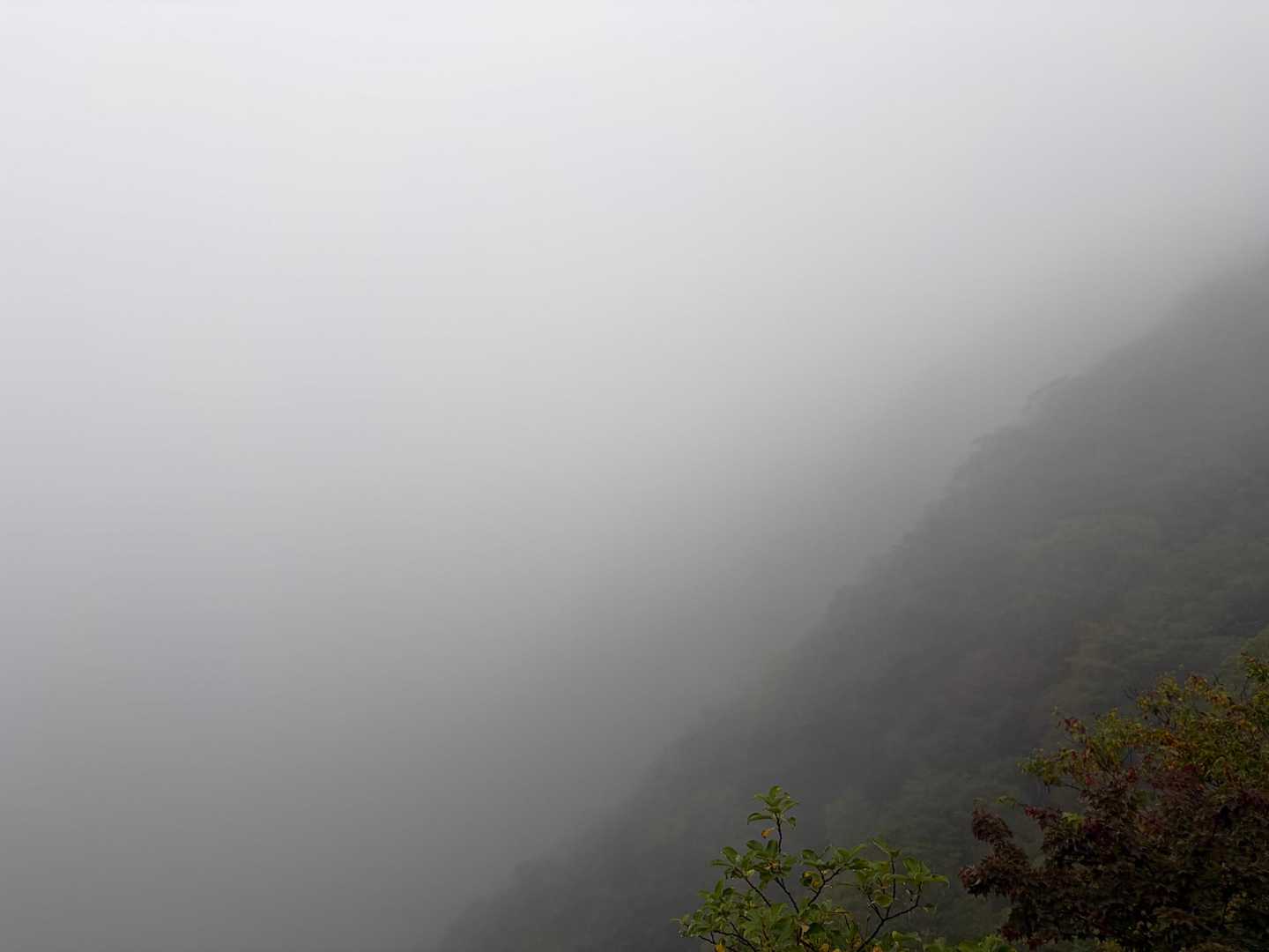 大滝展望台