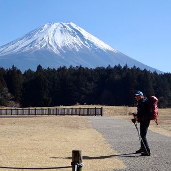 大きい富士山と一緒に