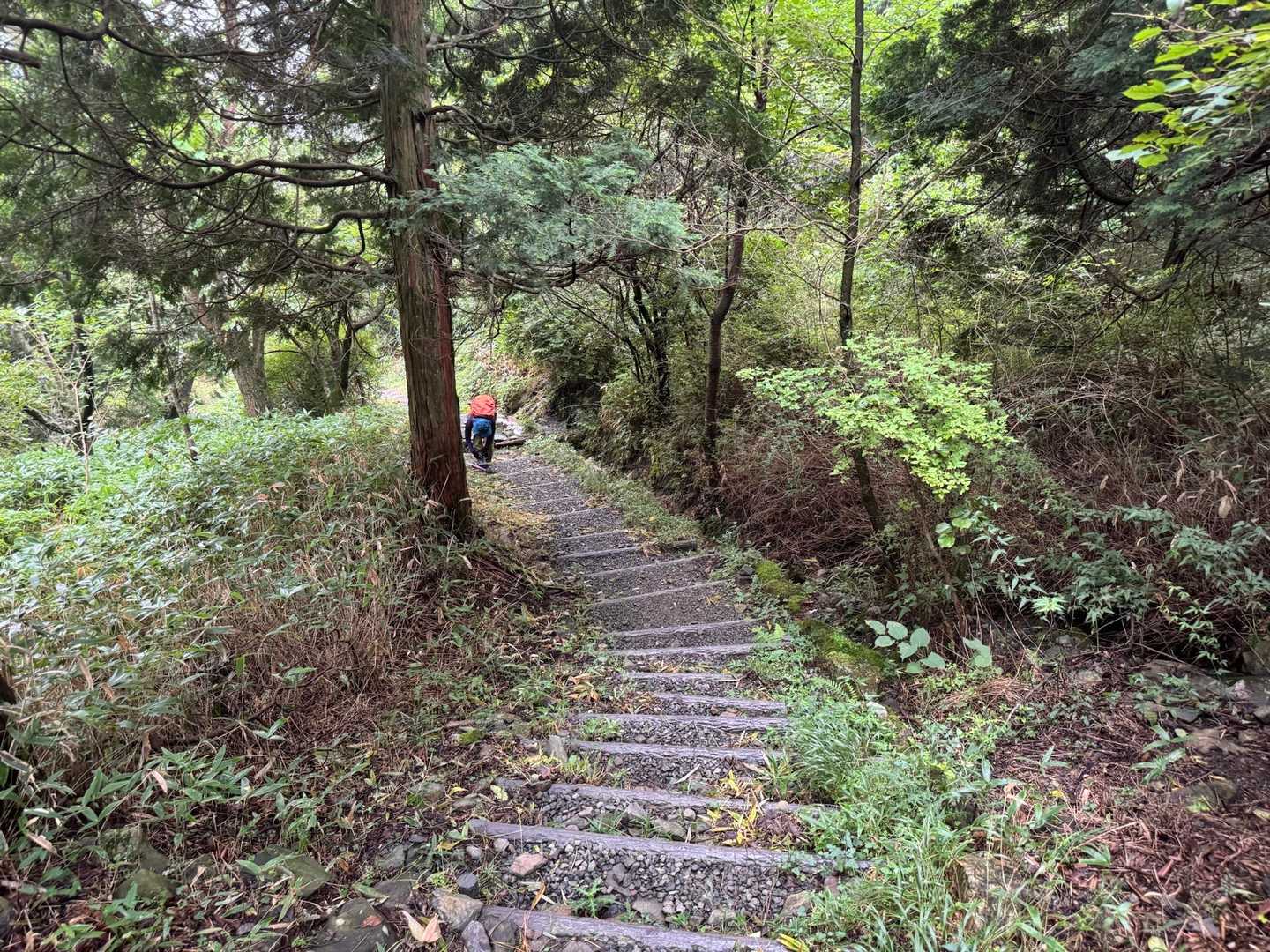 天山上宮登山口-天山 往復コースの写真
