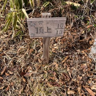 山頂に到着！！