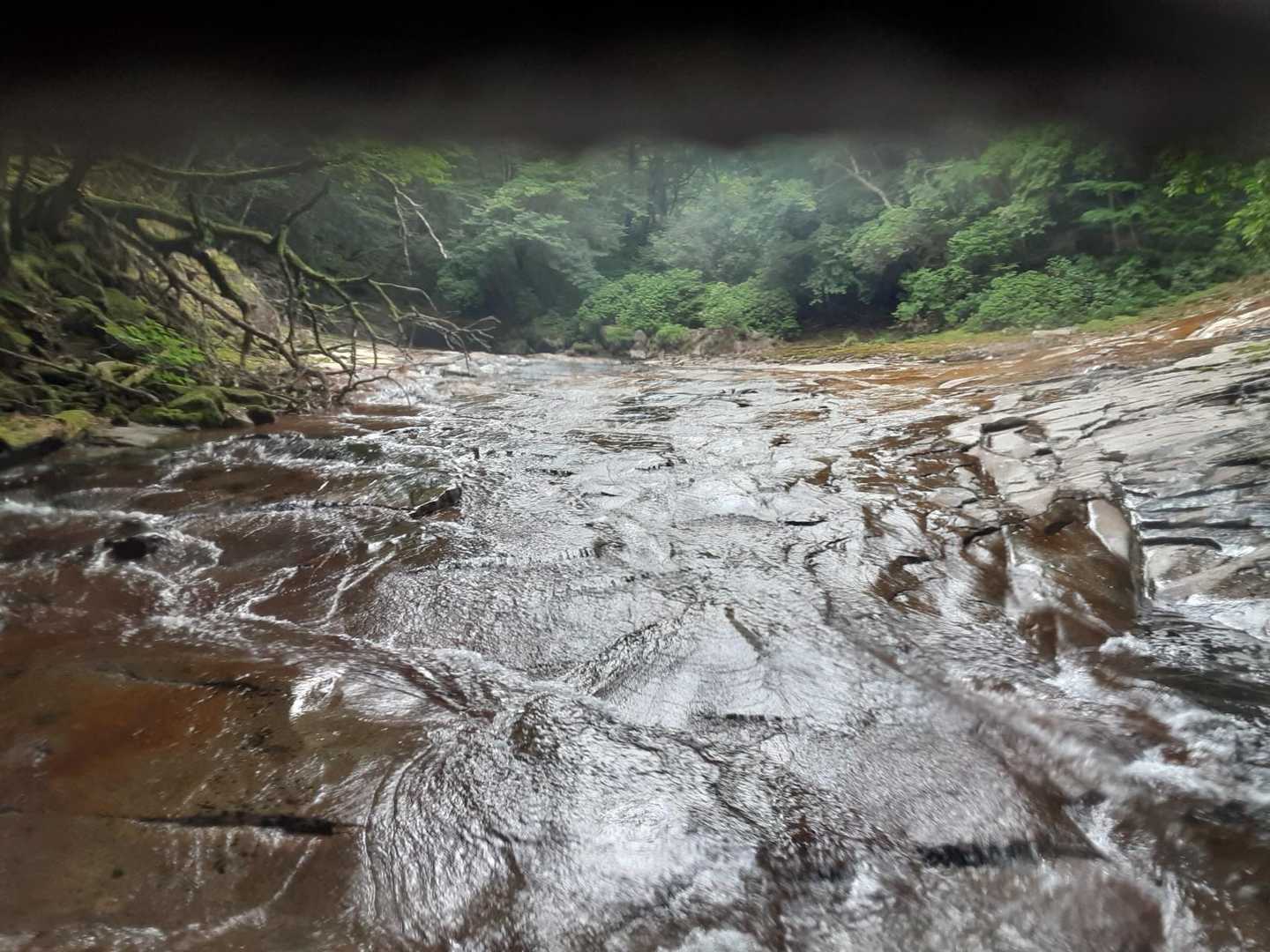 滑歩き　気持ちいいです