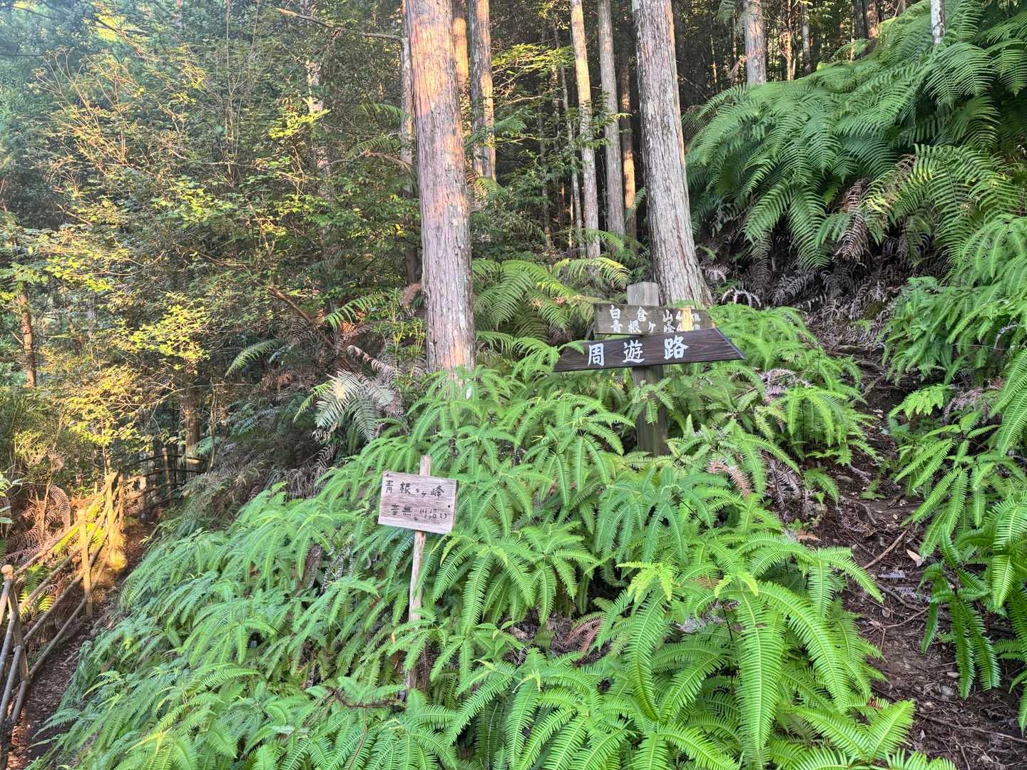 ん〜　どっちやろ？

手前の看板　⬅️ 青根ヶ峰　音無川沿い・・・
奥の看板　青根ヶ峰➡️  ・・・

とりあえず、左の音無川沿いに🚶