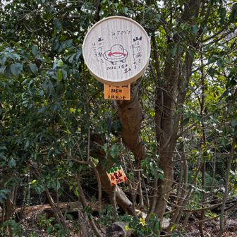 山は万病を治してくれる！そうです