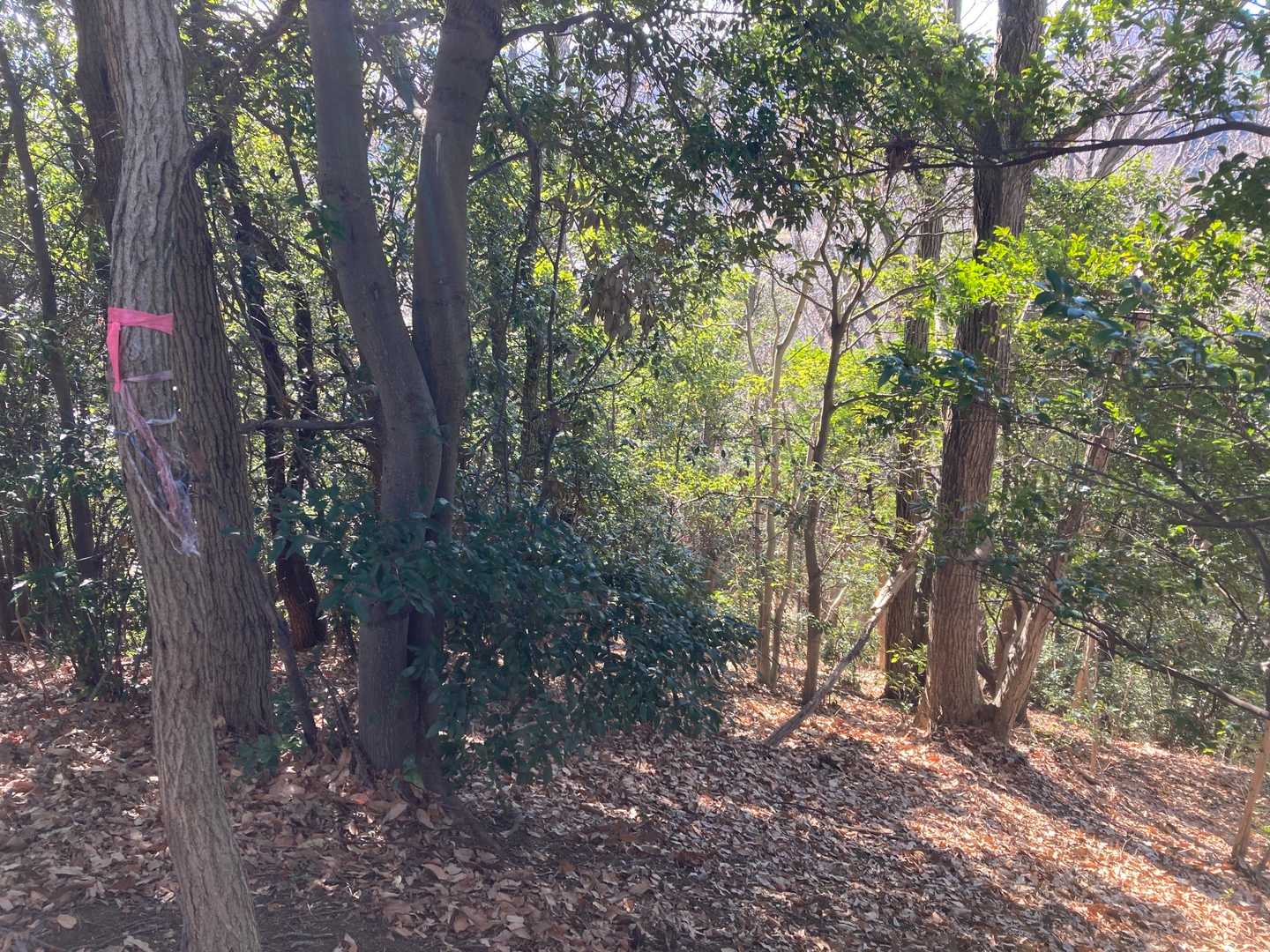 帰りは、鉄塔に行きたいな〜😙
　道が無いので、急降して行きます👋