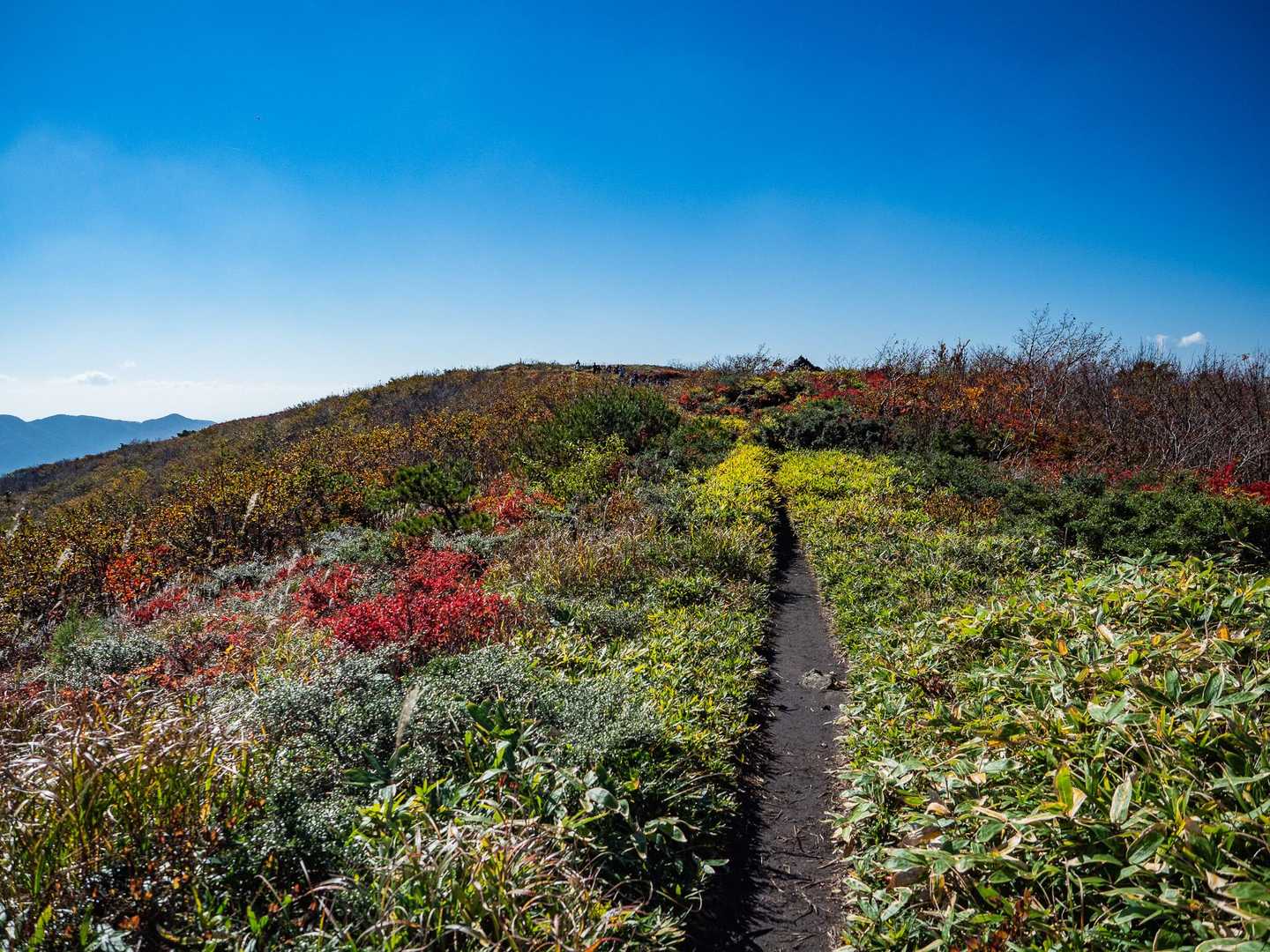 立烏帽子山-池ノ段 往復コースの写真