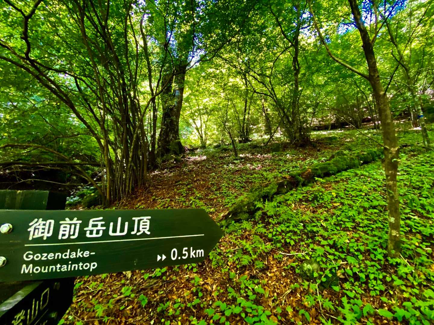 山頂まであと少し。
しかし急登の階段が続きます。