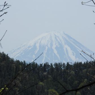 山頂はあまり開けてないですが、何とか富士山🗻パチリ📷️
武田信玄公も本丸🏯からこの富士山を見ていたはず。