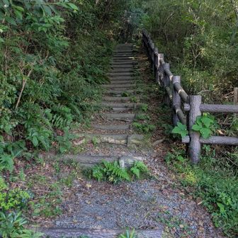 さぁ登りますよ　