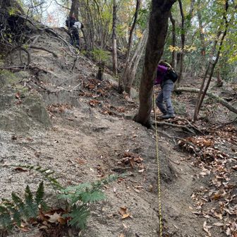 激降りして、後で登り返しました😰
結構きつい角度の斜面です⚠️