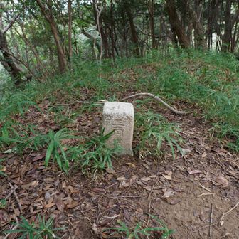高塚山の四等三角点。ちょっと分かりにくい所にある