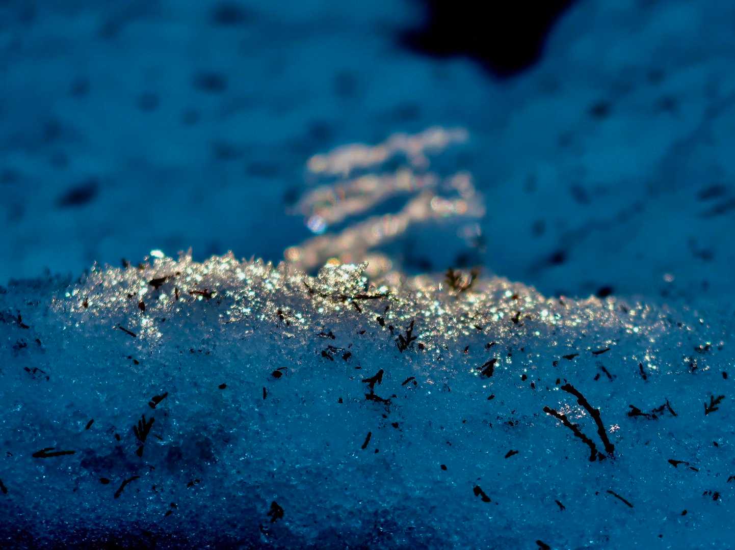 朝の光がさしこんであたりがキラキラしだす✨
