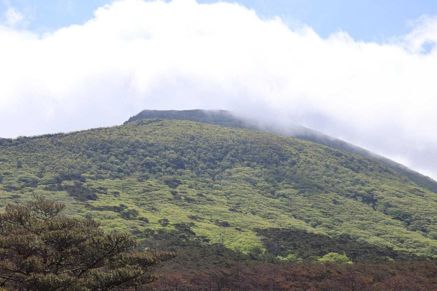 韓国岳登山口-韓国岳-つつじヶ丘登山口 周回コースの写真