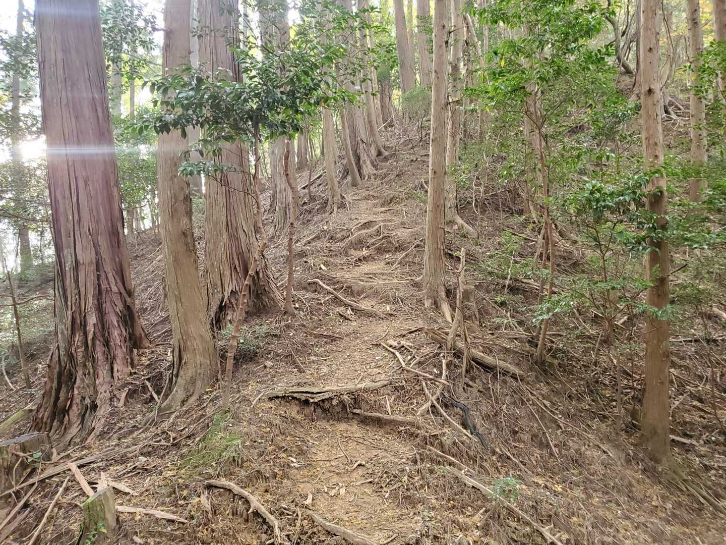 清水峠-髯山 往復コースの写真
