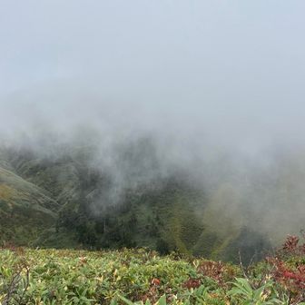 雲に隠れる巻機山