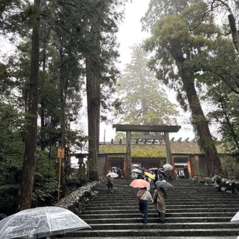 ここから撮影できません