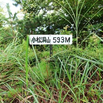 小松洞山（593m）