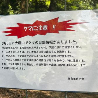 何やて⁉️