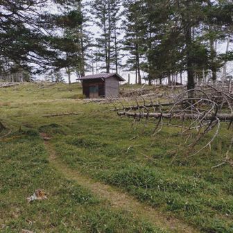 避難小屋に到着