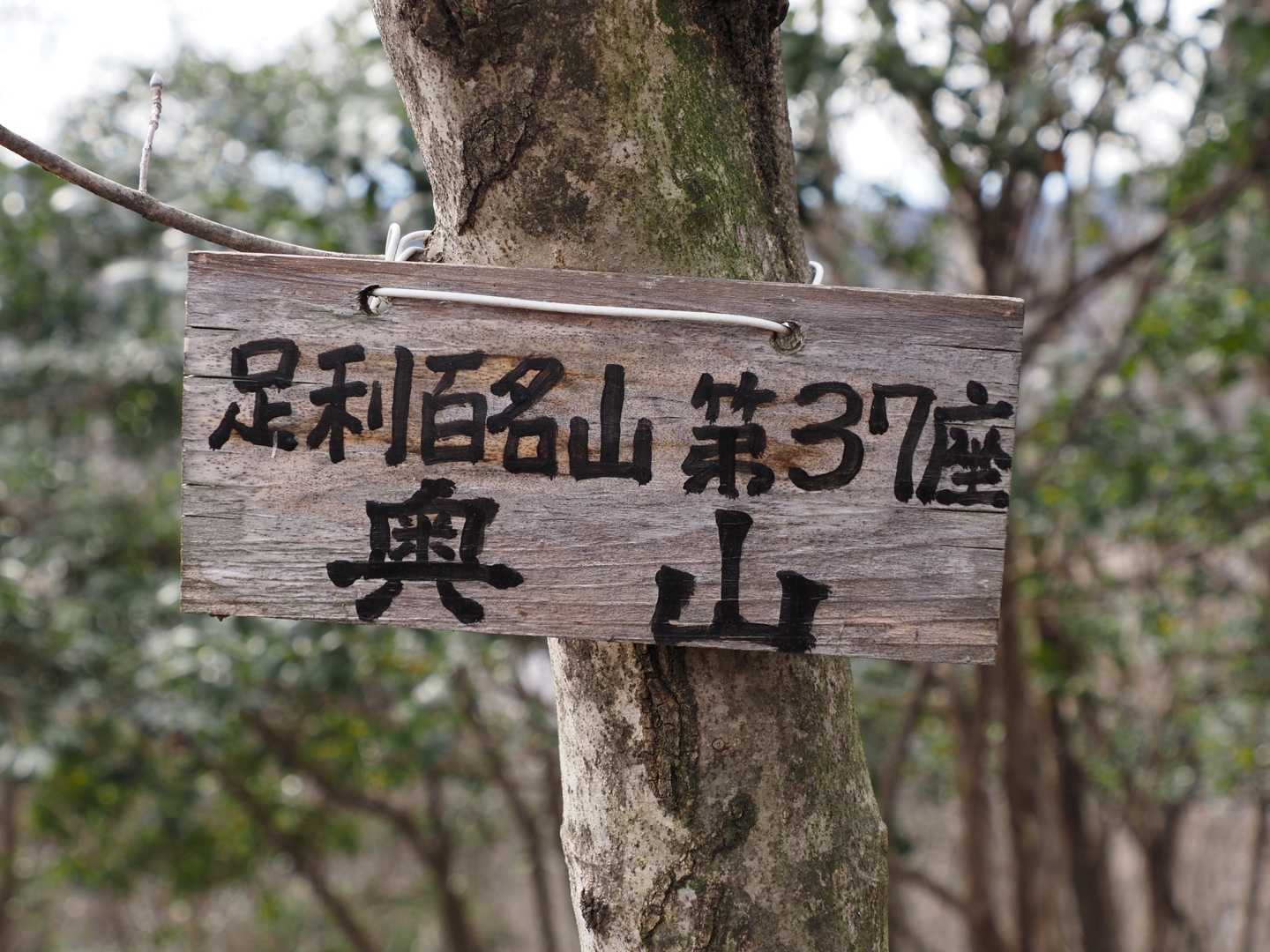 奥山✨