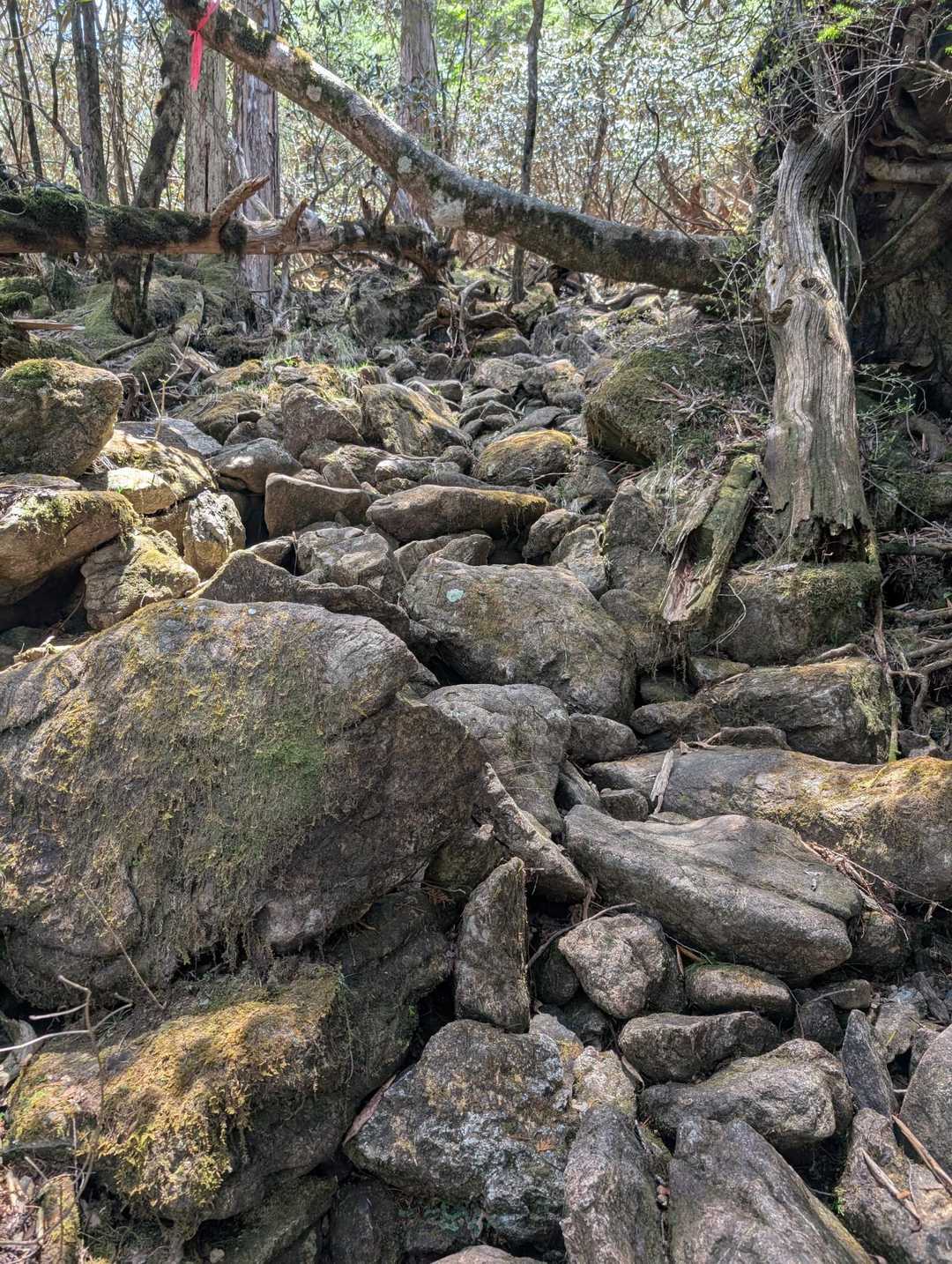 白髪山登山口-白髪山 往復コースの写真