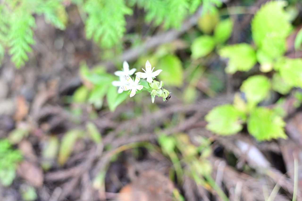 あった💓