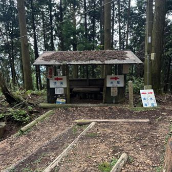 前の方にワンピースで歩いてる方発見
え？大丈夫なん？
て思って心配してたけど全然追いつかない
他のハイカーさんと話されてる横を通った時にワンピースは世を偲ぶ仮の姿で実はハイカーさんだとわかった（登山靴着用でした）
だから早かったんやー👏
かずみんの心配なんかいらんね笑