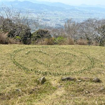 ハート水仙もあったよ！！ハートと思ったらニコちゃん( ¨̮ )だった🤣