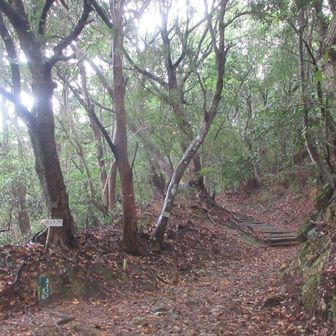 成相寺別れ　　　　　　　　　　　　　　　　　
道は湿ってるが🍄見当たらず