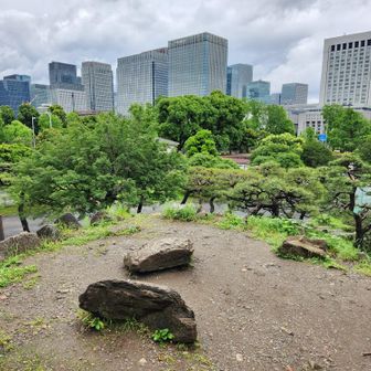 三笠山の山頂。
池を掘った残土で造られた人工の山だそうです。