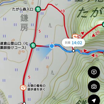 ゲート1時間43分。サブ3なら1時間35分目指したい。
遂倉山からたがら森の道は滑って転びやすい。
笹倉山までロード。マラソン5時間くらいですのでロードのスピードアップが課題。