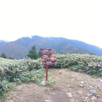 思っていた程大変じゃなかった