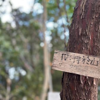 ▪︎神於山⛰️山頂▪︎