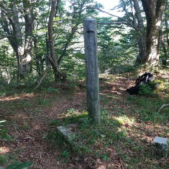 三等三角点◬毛無山◬1082.71m(広島県山県郡)登頂！
YAMAPのコースタイム設定※50分になってるけど速すぎやしないか？吾輩のペースが遅いのか75分ぐらいかかった💦(後で調べたAIの説明では90分なので安心した)
※勘違いでした、後で再確認したら途中の中継ポイントから50分で、登山口からは95分でした
