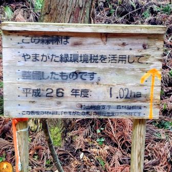 林道は途中Y字路から左に進み
行き着く先は行き止まり👹
ここからが魔の入口🤣