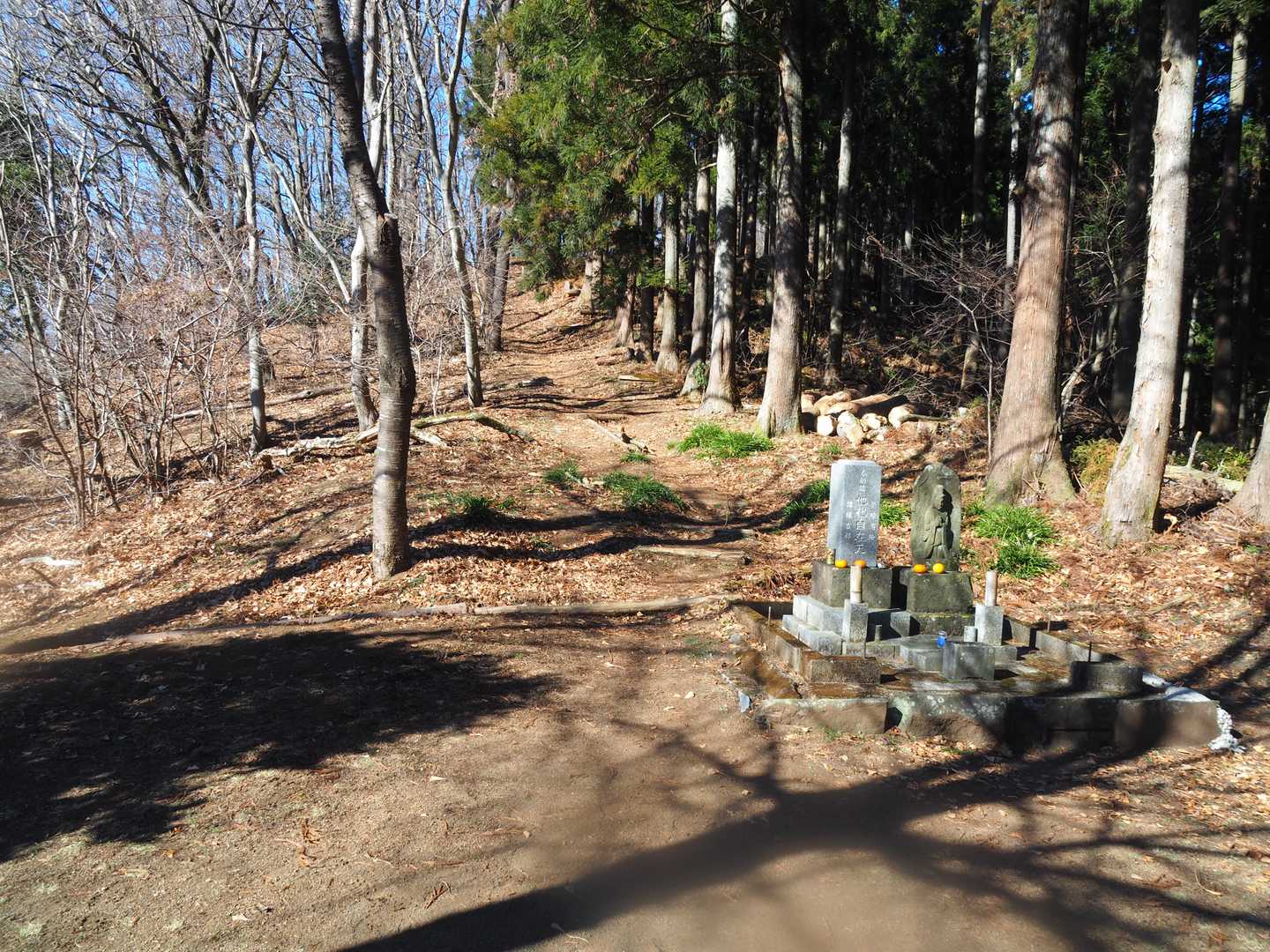 高松山を目指します