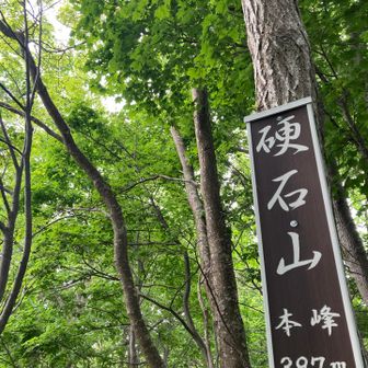砥石山
本峰　
標高　397m
