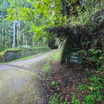 駐車場前の奥久慈パノラマラインをテクテク。この分岐を右に大円地山荘方向に…