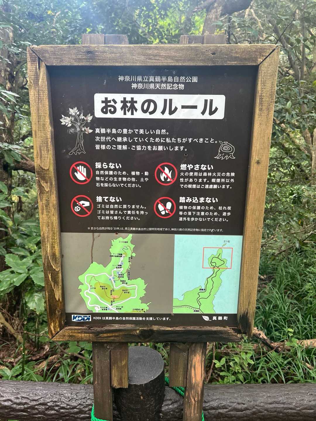 灯明山 往復コースの写真