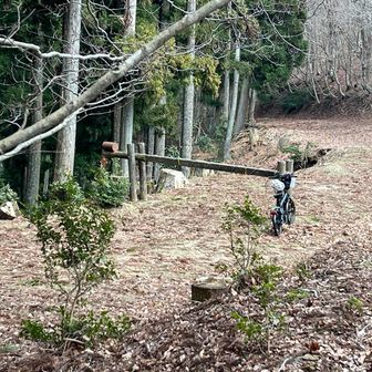 デポしておいた自転車
居てくれてほっとします
