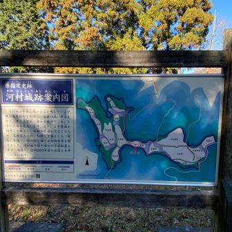 結構広いので途中まで
