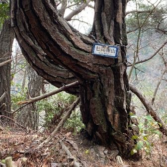 ©カヨ隊長
ここは七兵衛山